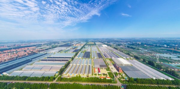 計算機系統服務基地 數字化轉型的核心引擎